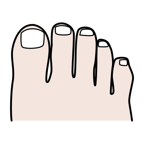 toes