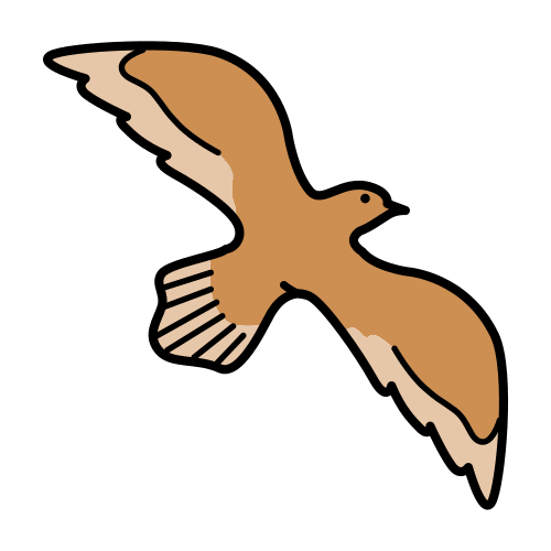 bird