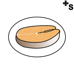 salmon