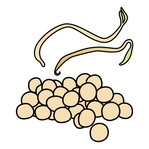 soya