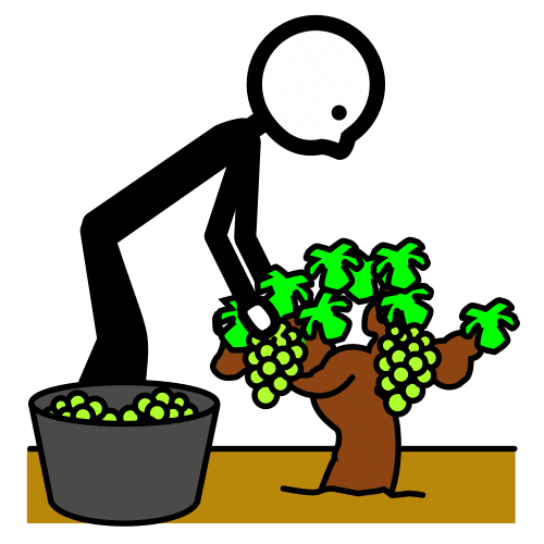 harvest