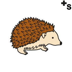 hedgehogs