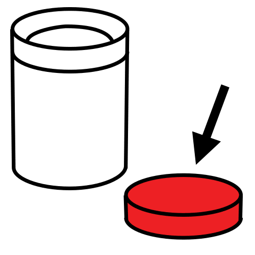 lid