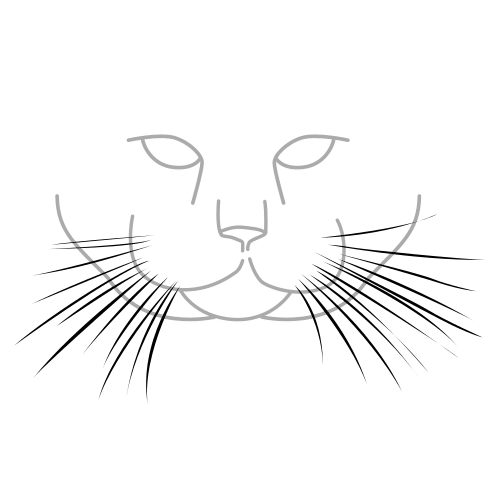 whiskers