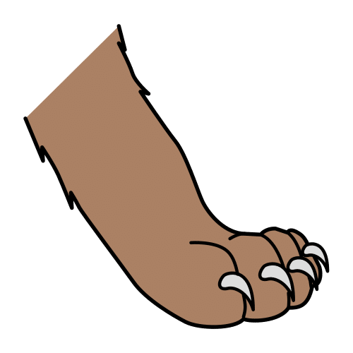 claw