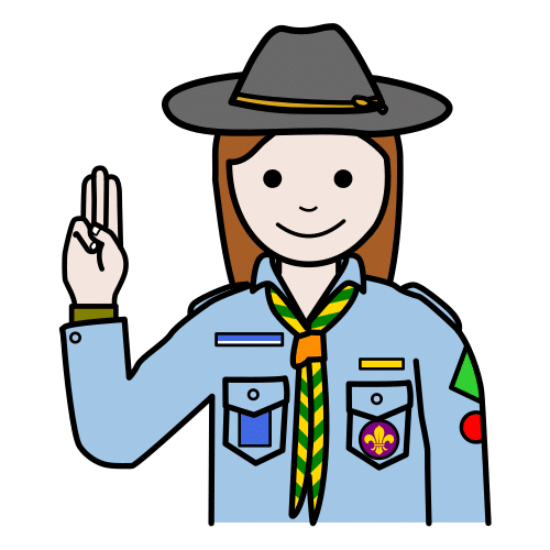 scout