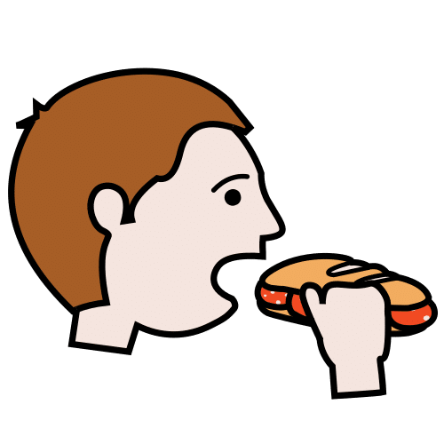 eat a sandwich