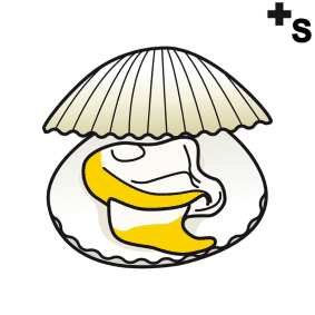 cockles