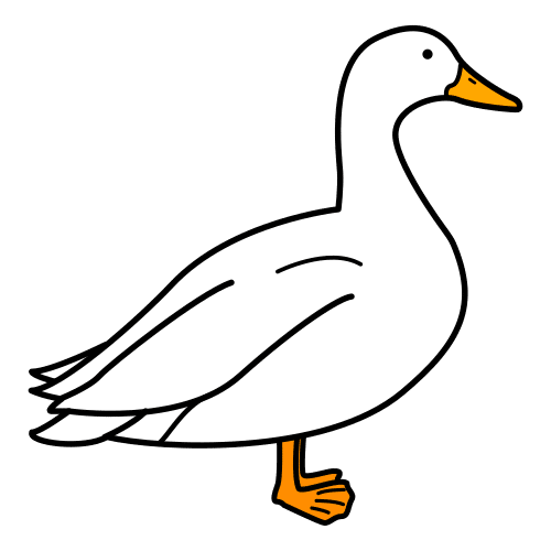 duck