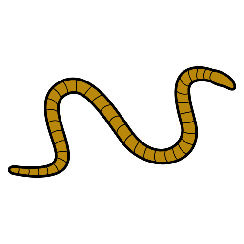 worm