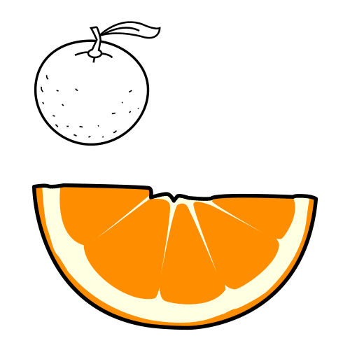 segment