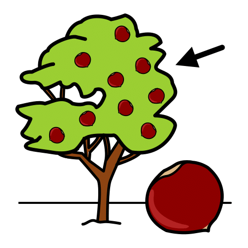 chestnut tree