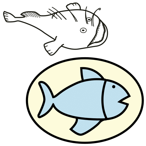 monkfish