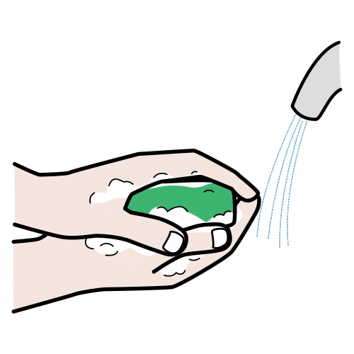 lather the hands