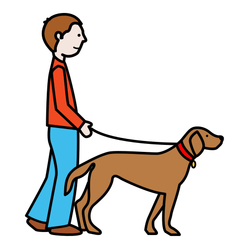 walk the dog