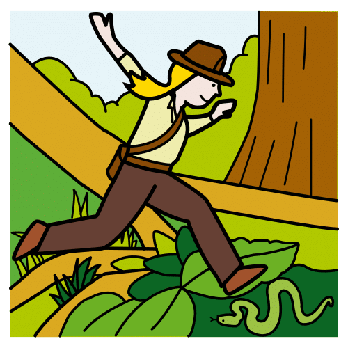 adventure