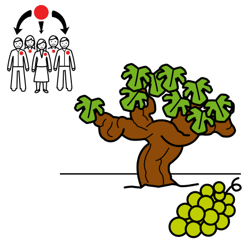 wine employers association