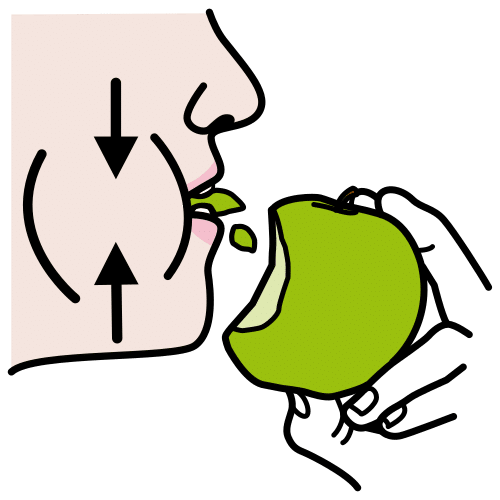 chew