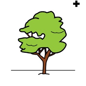 træer