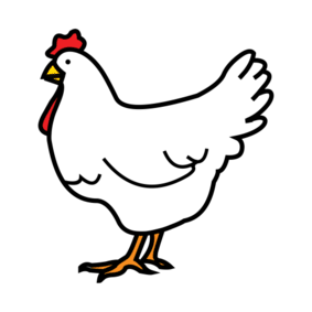 kokoška