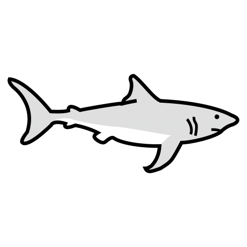 ajkula