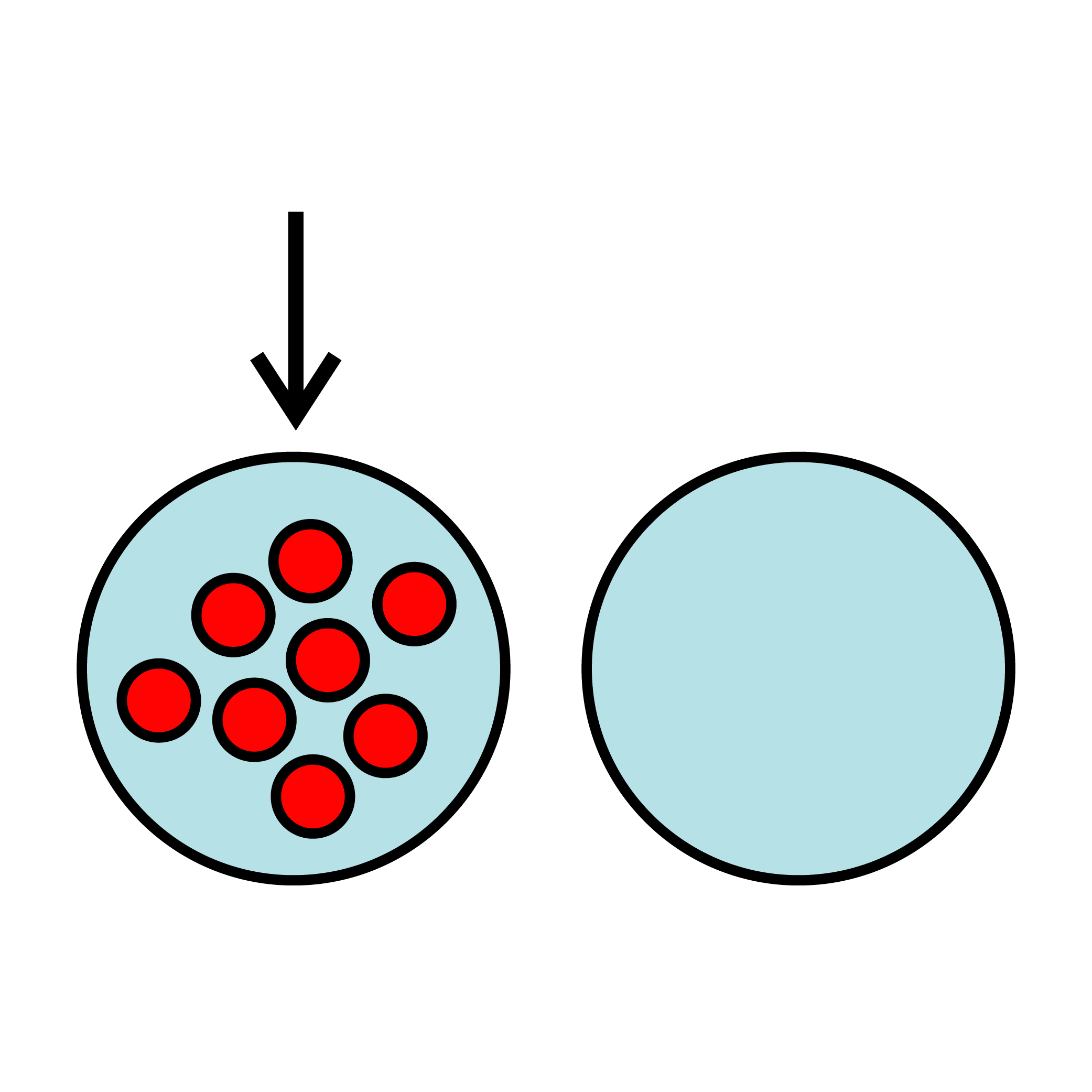 sve