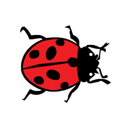 bubamara