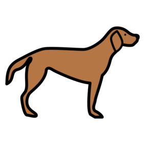 пас