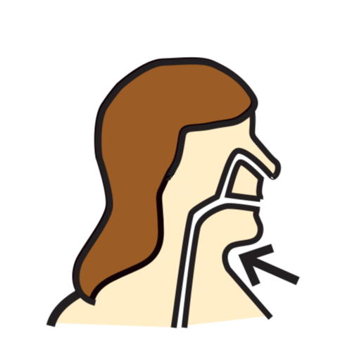 throat