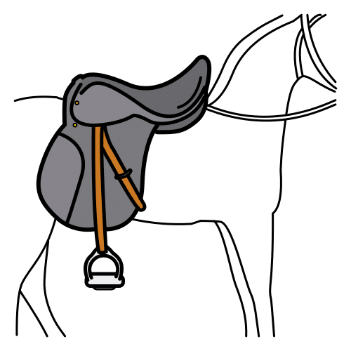 saddle