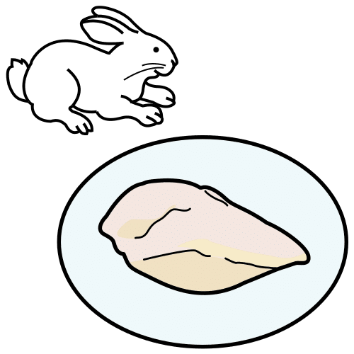 rabbit