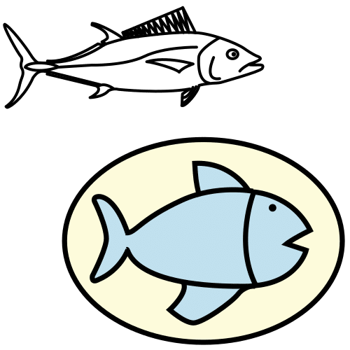 tuna