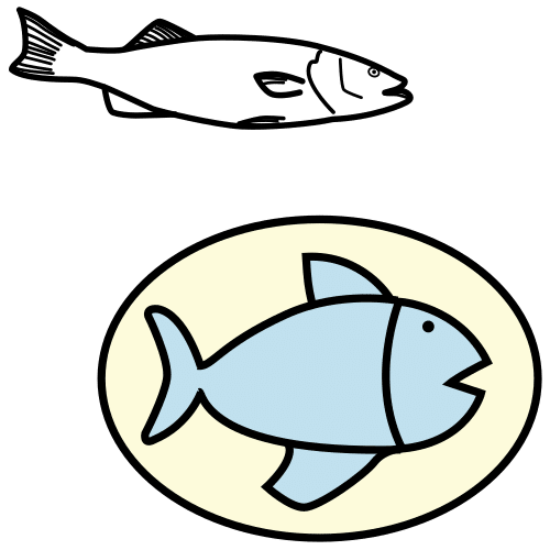 sea bass