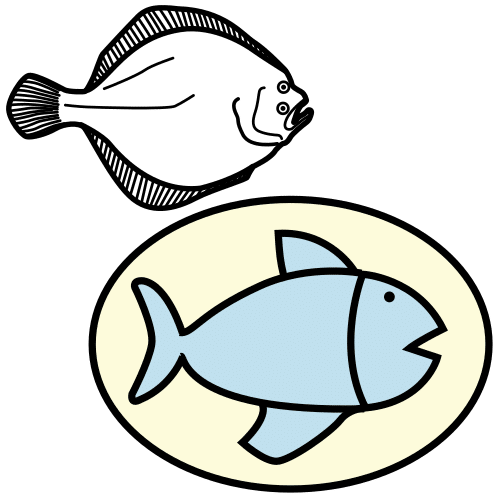 turbot