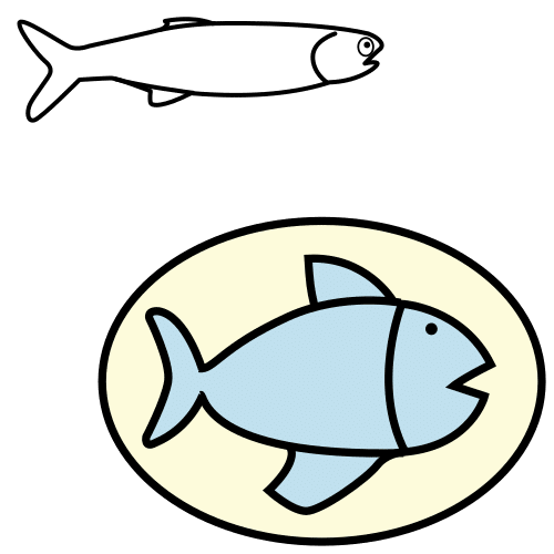 sardina