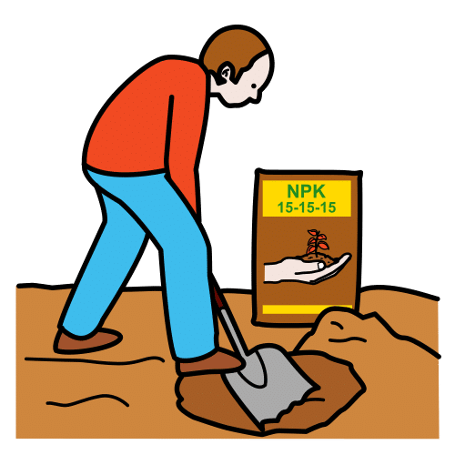 fertilize