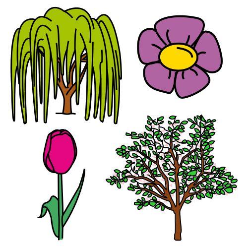 botanic garden