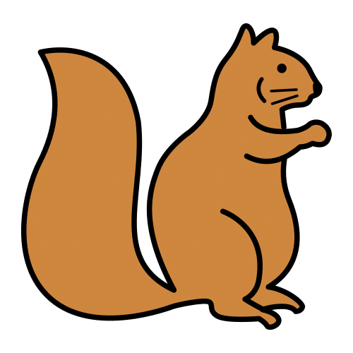 squirrel