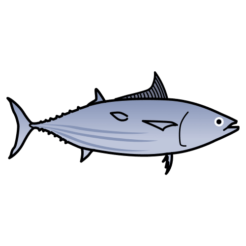tuna
