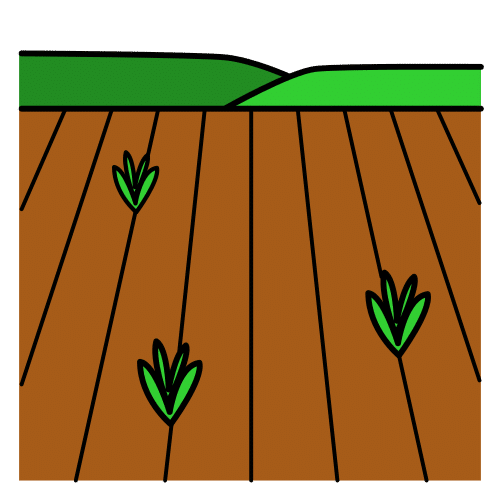 field