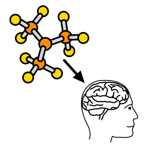carbohydrate