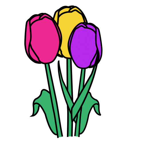 tulips