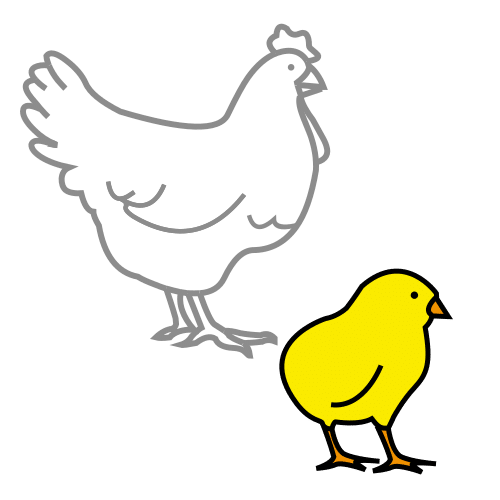 chick