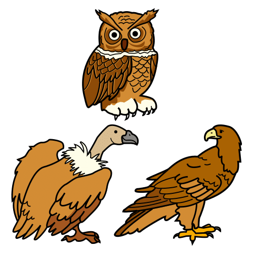 bird of prey