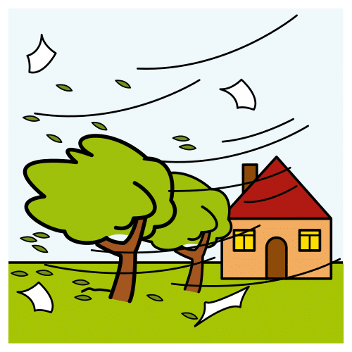windy