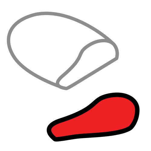 fillet