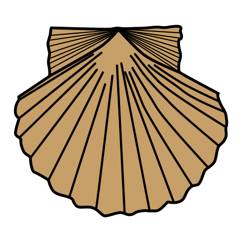 scallop