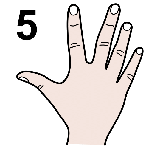 5