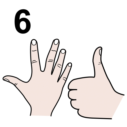 6