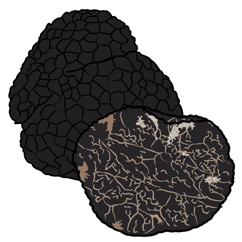 truffle